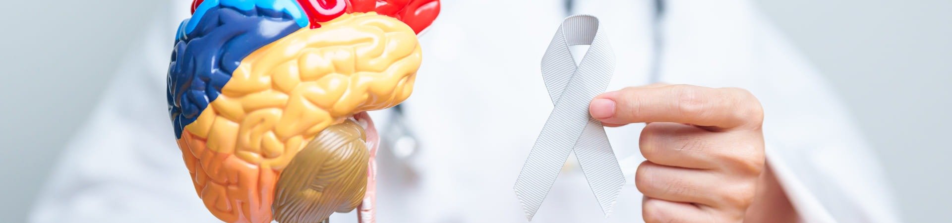 Pessoa segurando um modelo anatômico de cérebro humano e uma fita cinza, símbolo da campanha Maio Cinza.
