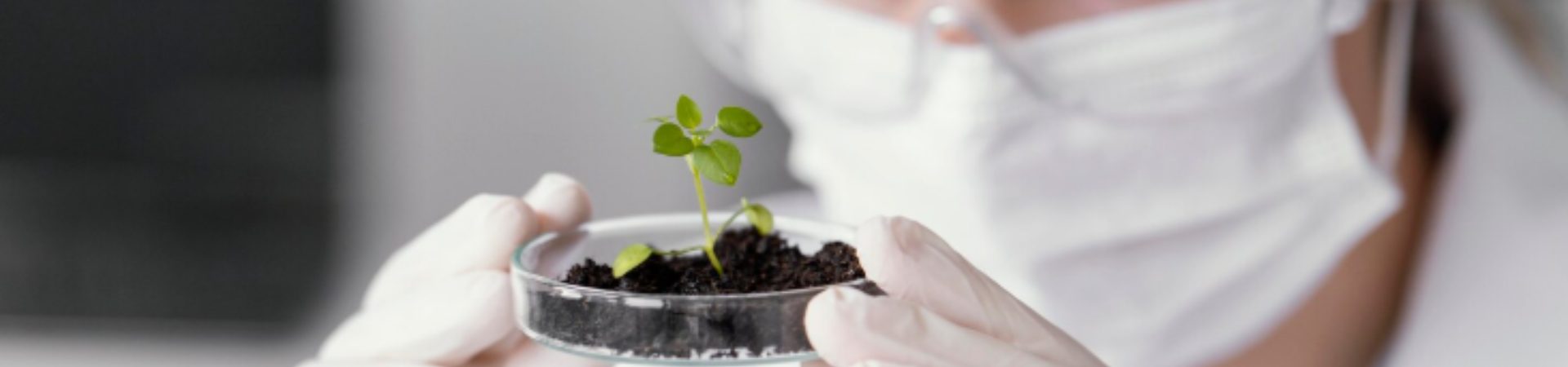 Profissional com luvas segura uma muda em recipiente com terra, representando práticas de sustentabilidade e cuidado ambiental.